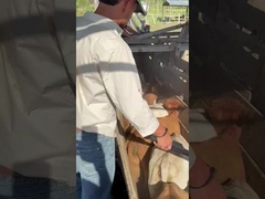 PT290 LF sığır kulak etiketi okuyucu RFID çubuk okuyucu