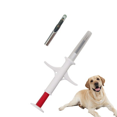 Bir Köpek Mikroçipini Takip Et Hayvan Kimliği Mikroçip, Hayvan Kimliğini Basitleştirmek İçin En İyi Seçenektir