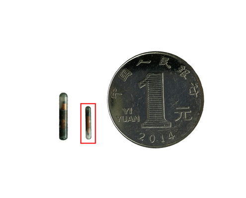 Tek Kullanımlık Mini Mikroçip Şırıngası ZS007 - Yaban Hayatı Araştırmaları için Ultra Küçük ve Hafif