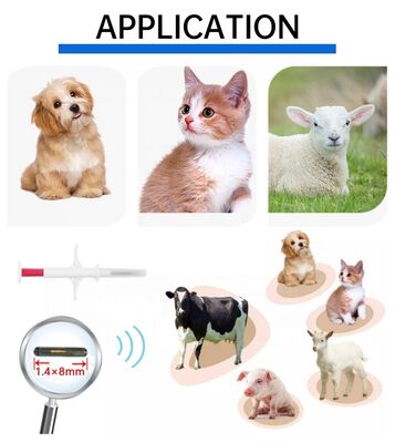 30°C To 50°C Weatherproof RFID Microchips for Livestock Identification Small Animal Tracking Implant Tags Long Lasting