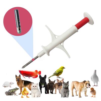 ICAR Sertifikalı ZS007 Arowana ve Balıklar için Evcil Hayvan Kimliği Mikroçip Enjeksiyon Kits