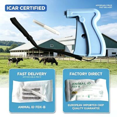 ICAR Sertifikası Otomotiv ve Güvenlik Sistemlerinde Kablosuz İletişim ve Kalıcı Performans için Tasarlanmış ISO Transponder Mikroçip