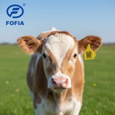 Yeni T921 Hayvan Kulak Etiketi Çiftlik Sığırları için Sarı Yüksek Kaliteli RFID TPU