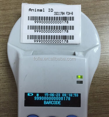 Dayanıklı RFID El Okuyucu 128x32 OLED Ekranlı Plastik Uzun Menzilli Çözüm