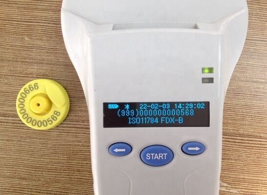 Dayanıklı RFID El Okuyucu 128x32 OLED Ekranlı Plastik Uzun Menzilli Çözüm