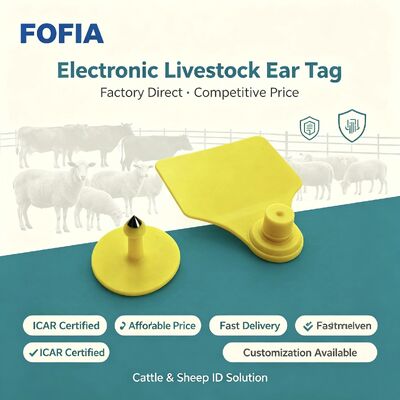 TPU Fofia ICAR T904 Sığır Koyun Domuz Sığır Keçi