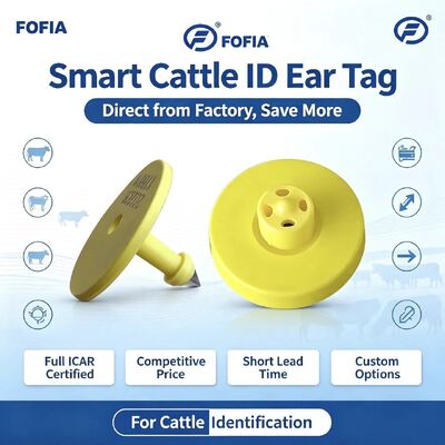 Tam ICAR ET908+T901 Su geçirmez RFID LF TPU Sarı Hayvan Kulak Etiketleri 14.5mm EM4305 Çipler 5 Yıllık Garanti Sığır Fofia