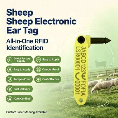 FOFIA Dayanıklı Dayanıklı Entegre Anti-Shaking Lazer Kodlanmış Elektronik T969 Sarı Koyun RFID Kulak Etiketi TPU Malzeme Hayvan