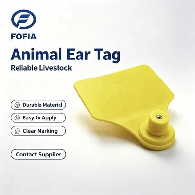 ICAR Fofia T904+T901 Hayvan Küpe Yeni Yüksek Kaliteli RFID TPU 72*57mm Lazer Kodlama 3 Yıl Garanti Çiftlik Kullanımı Sığır İçin