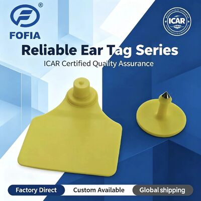 Su geçirmez ICAR Fofia T904+T901 Hayvan Kulak Etiketi Yeni Yüksek Kaliteli RFID TPU 72*57mm Lazer Kodlama Çiftlik Kullanımı için 3 Yıllık Garanti