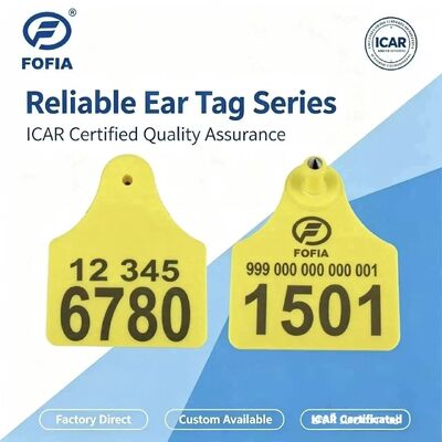 ICAR T904+T905 Kombine Hayvan Kulak Etiketi Yeni Yüksek Kaliteli RFID Plastik TPU 70*57mm Lazer Kodlama 3 Yıllık Garanti Hayvan Takibi