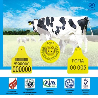 ICAR T904+T905 Kombine Hayvan Kulak Etiketi Yeni Yüksek Kaliteli RFID Plastik TPU 70*57mm Lazer Kodlama 3 Yıllık Garanti Hayvan Takibi