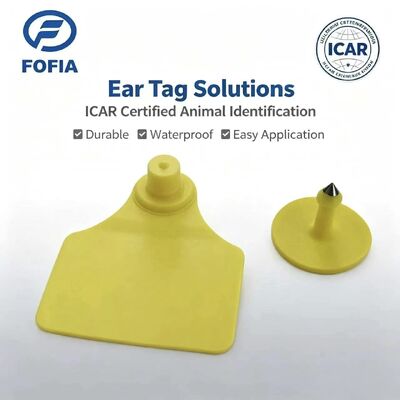 Dayanıklı Su Geçirmez ICAR Fofia T904 +T901 Hayvan Kulak Küpesi Çipi RFID TPU Lazer Kodlama 3 Yıl Garanti Sığır Takibi