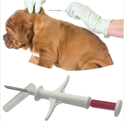 Enjekte Edilebilir Transponderler ICAR Hayvan Kimliği Mikroçip 134.2KHz Köpek Takibi İçin Kimlik Yongası