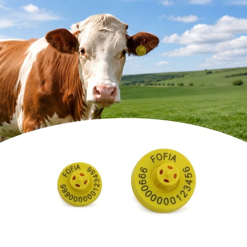 ICAR certified cattle ear tags made with high durability materials ensuring long lasting cattle identification solutions