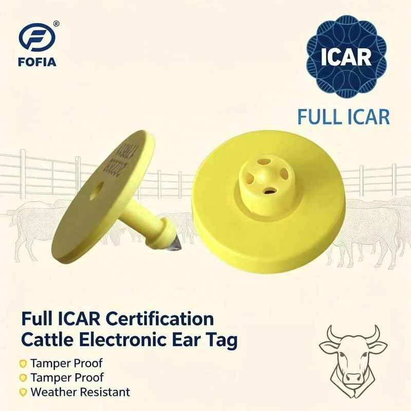 Su Geçirmez Fofia Tam ICAR Sertifikalı ET908 Sarı RFID TPU Sığır Küpe Küpesi Yüksek Kalite 1.5 Yıl Garanti Hayvancılık