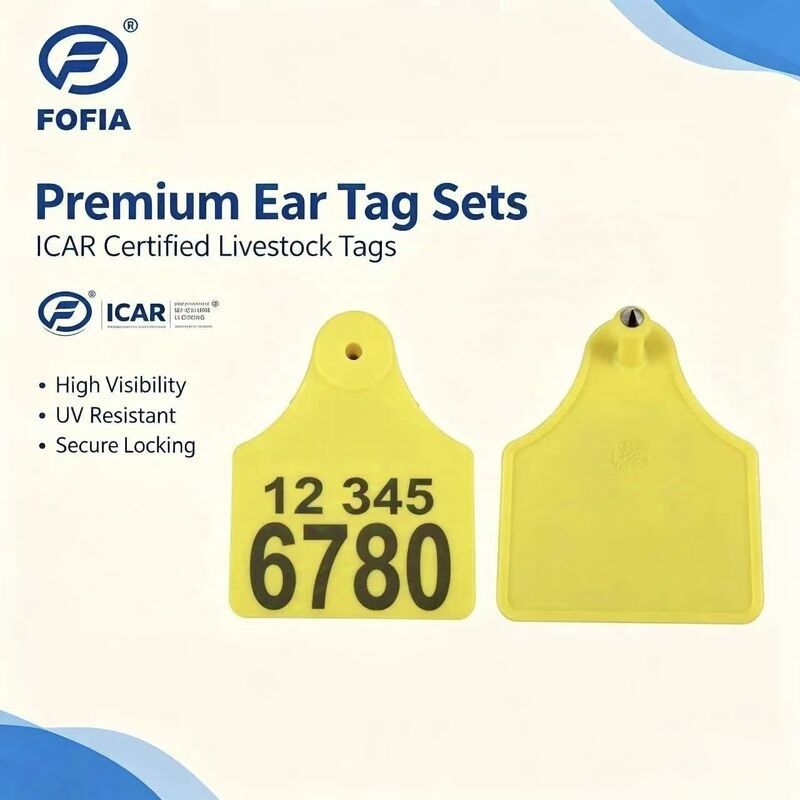 ICAR T904+T905 Kombine Hayvan İzleme Kulak Etiketi Yeni Yüksek Kaliteli RFID Plastik TPU 70*57mm Lazer Kodlama 3 Yıllık Garanti Çiftlik