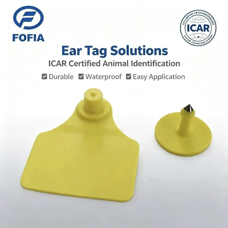 Dayanıklı Su Geçirmez ICAR Fofia T904 +T901 Hayvan Kulak Küpesi Çipi RFID TPU Lazer Kodlama 3 Yıl Garanti Sığır Takibi