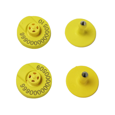 Sığır Elektronik Kulak Küpesi Hayvan Küpesi İnekler İçin LF RFID Etiketleri USDA onaylı sığır küpeleri